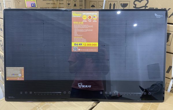 Bếp điện từ đôi Malaysia IH-196